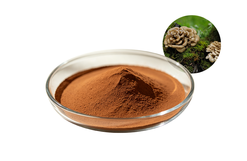 Maitake Mushroom Extract